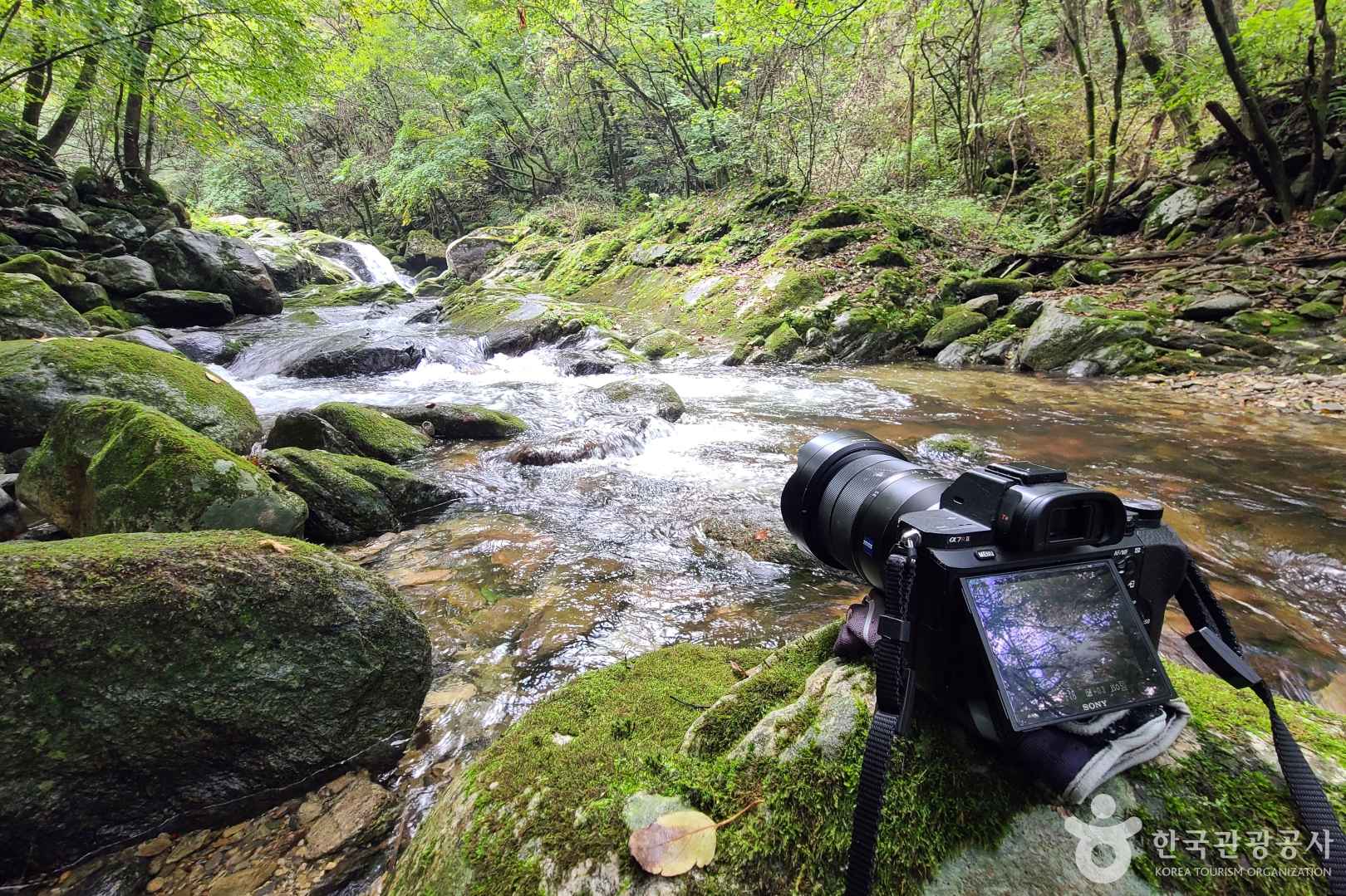 가평 조무락계곡 이미지 2