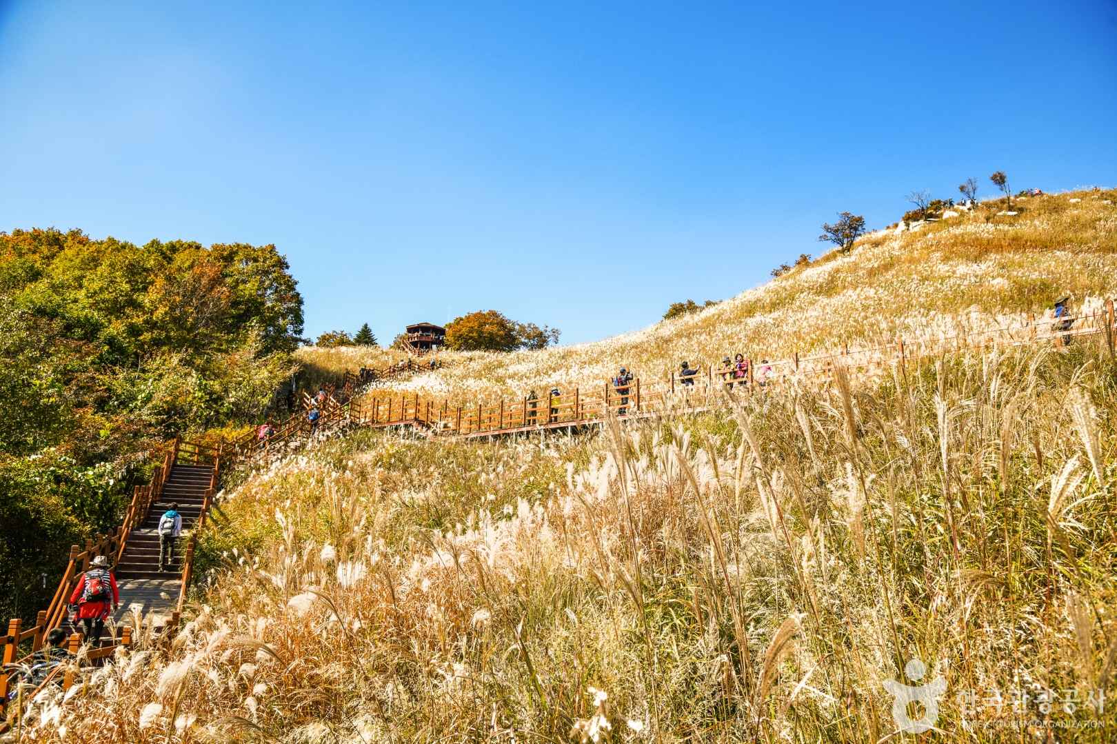 포천 명성산 억새밭 이미지 6