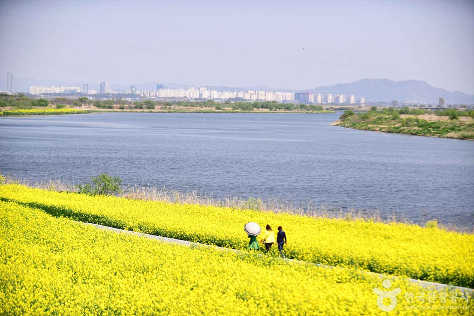 전남 영산강둔치체육공원 이미지 5