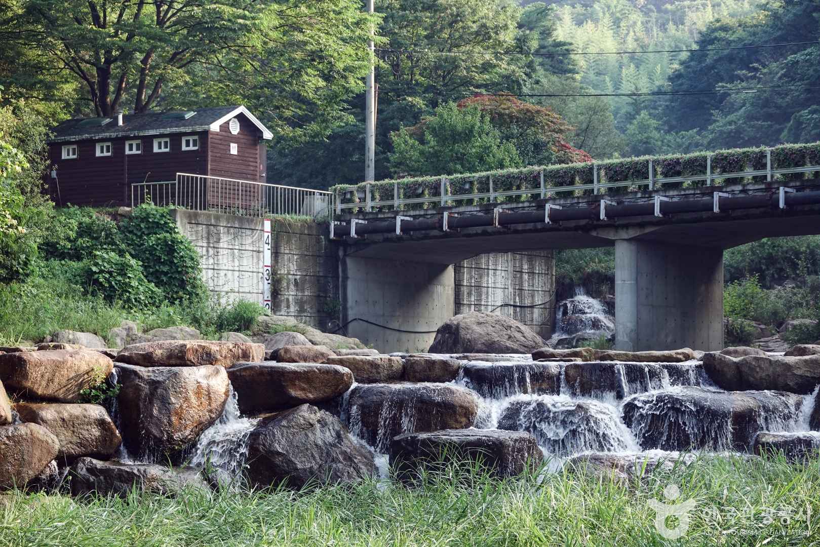 옥천계곡 이미지 4