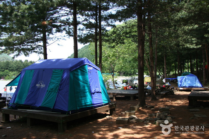 가평 국립 유명산 자연휴양림 이미지 4