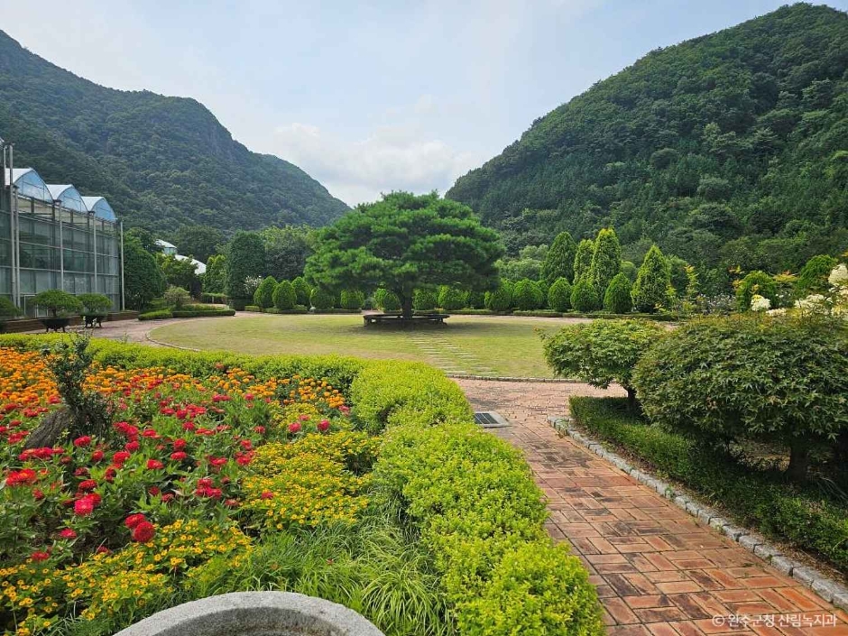 고산문화공원 이미지 4