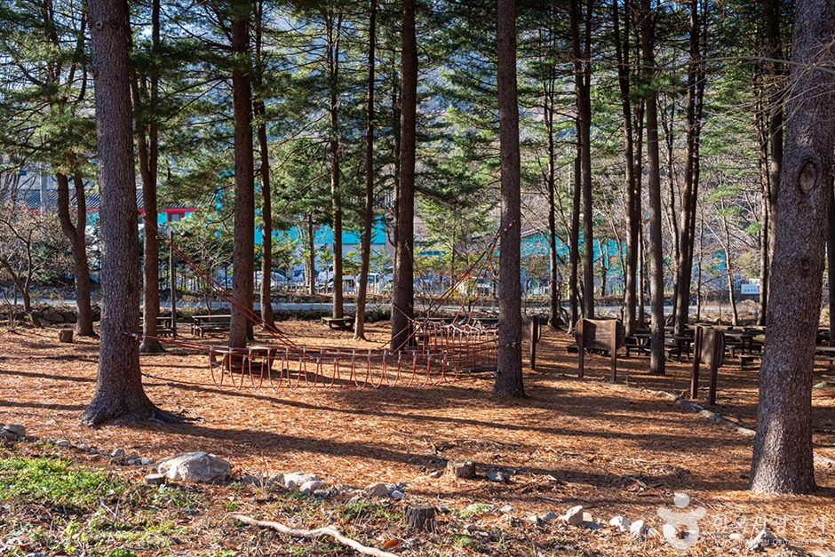 가평 국립 유명산 자연휴양림 이미지 3