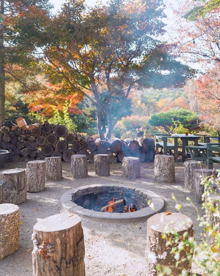 일영허브랜드(숲길정원) 이미지 5