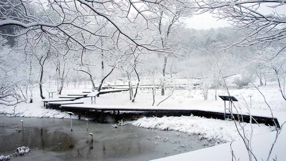 포천 평강랜드 이미지 6