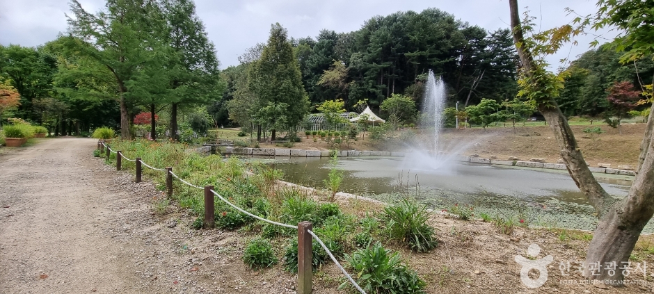 포천 평강랜드 이미지 3