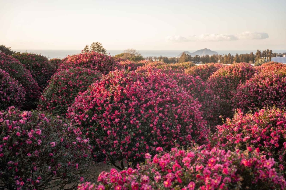 동백포레스트 이미지 5