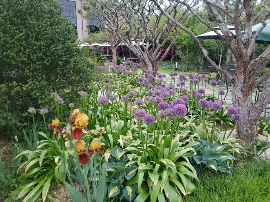 휴심정 이미지 2