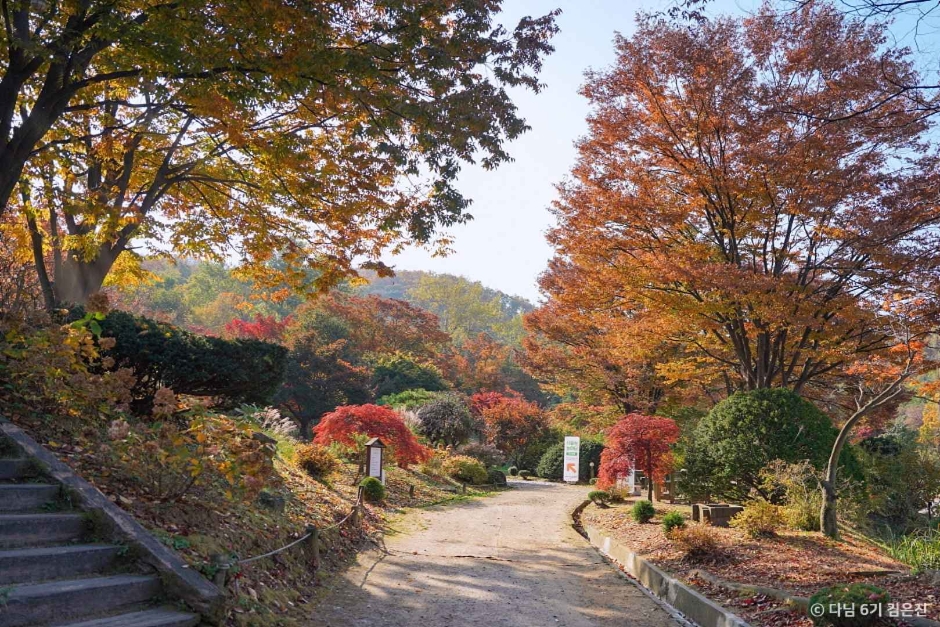 일영허브랜드(숲길정원) 이미지 1