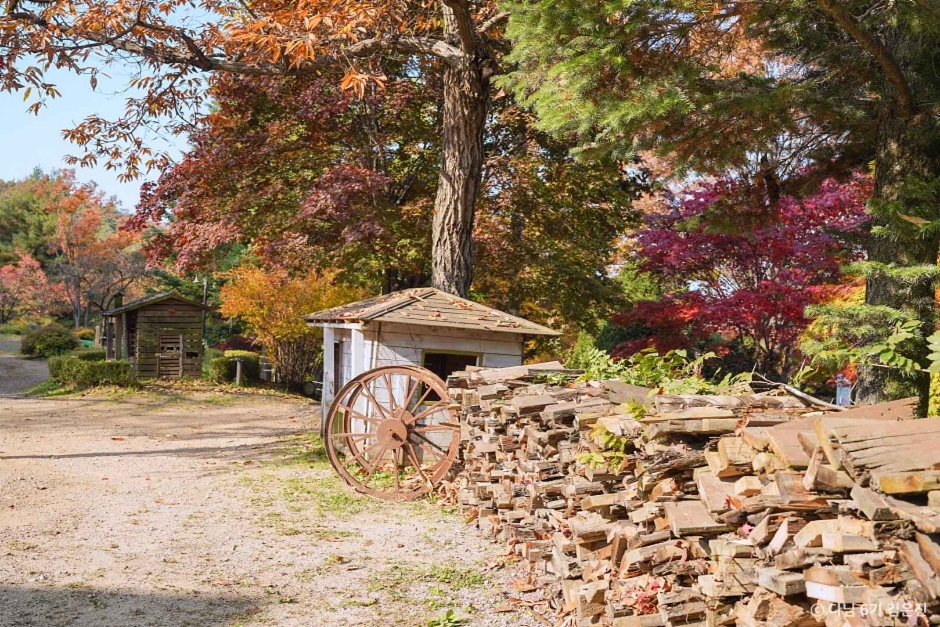 일영허브랜드(숲길정원) 이미지 3