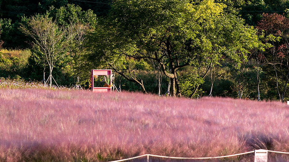 포천 평강랜드 이미지 4