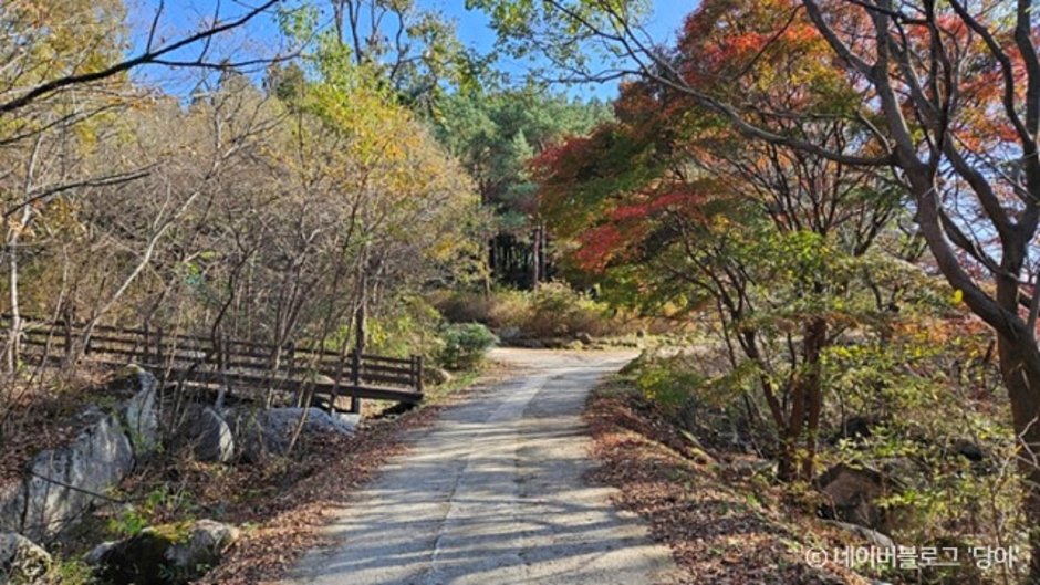 모후산 생태숲 이미지 2