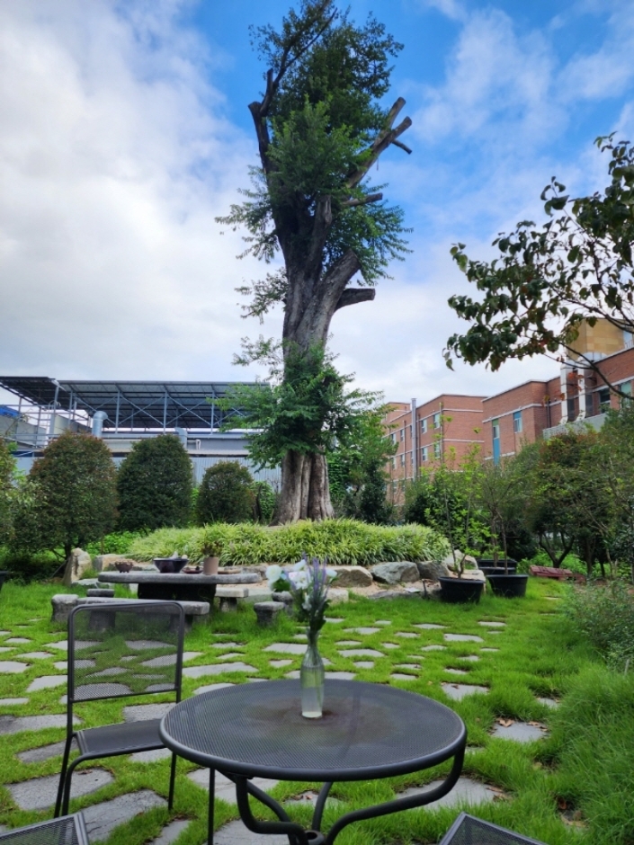 휴심정 이미지 5