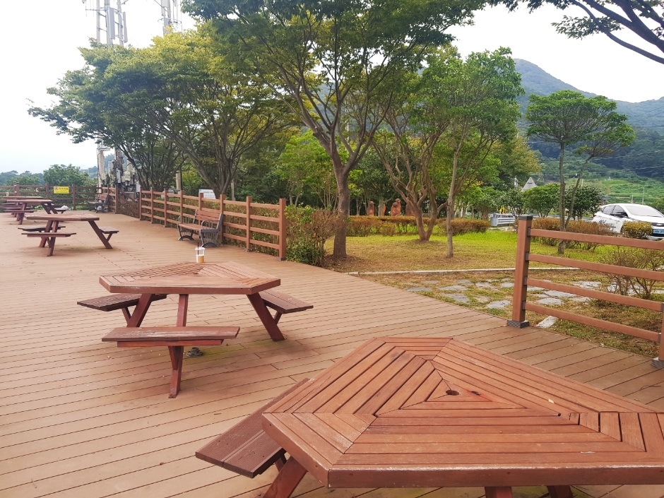 완도 미소공원 이미지 3