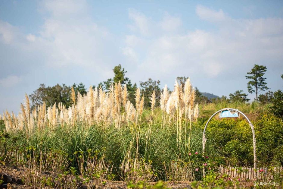 파더스가든 이미지 5