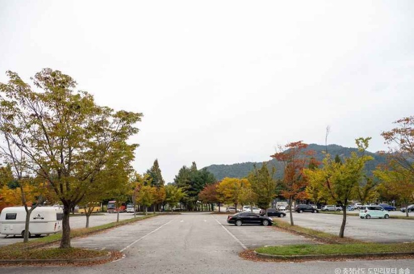 덕산 메타세쿼이아길 이미지 2