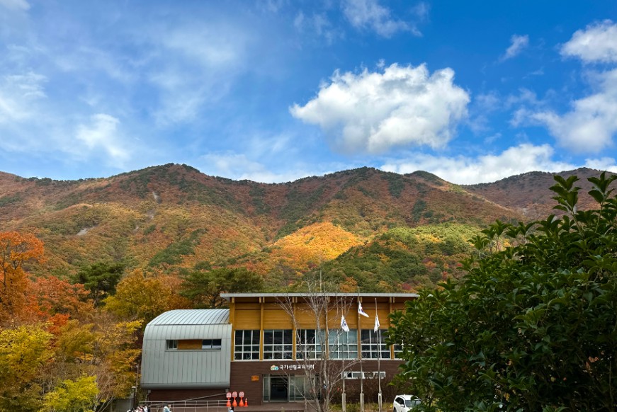 국립청도숲체원 이미지 4