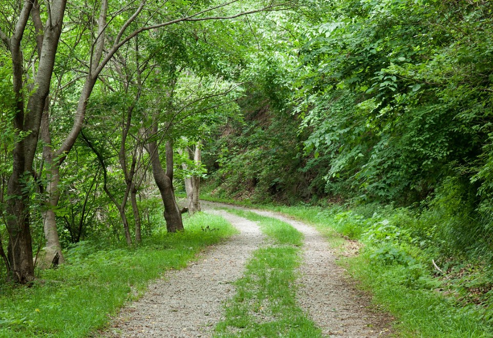 국립장성숲체원 이미지 6