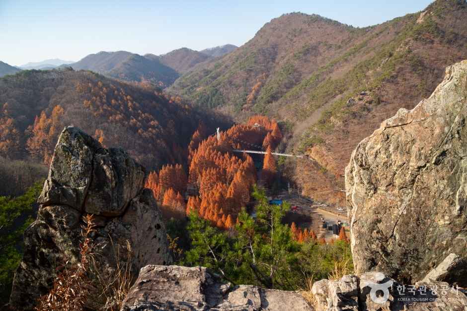 대전 장태산 자연휴양림 이미지 4