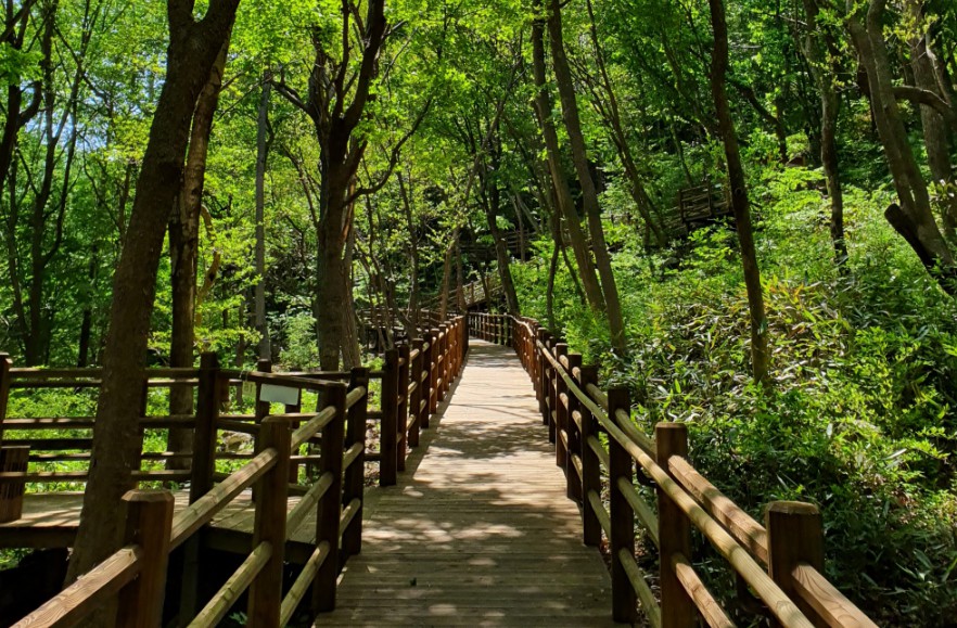 국립청도숲체원 이미지 6