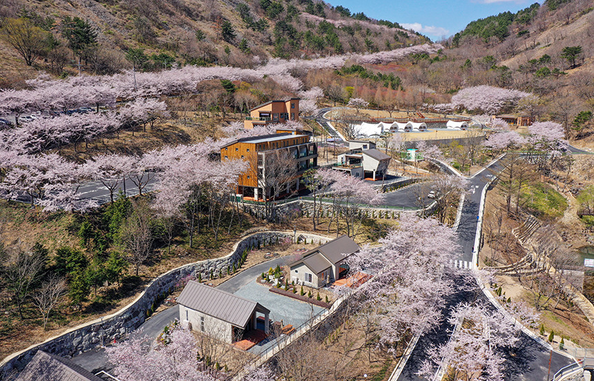 진주 월아산 자연휴양림 이미지 1