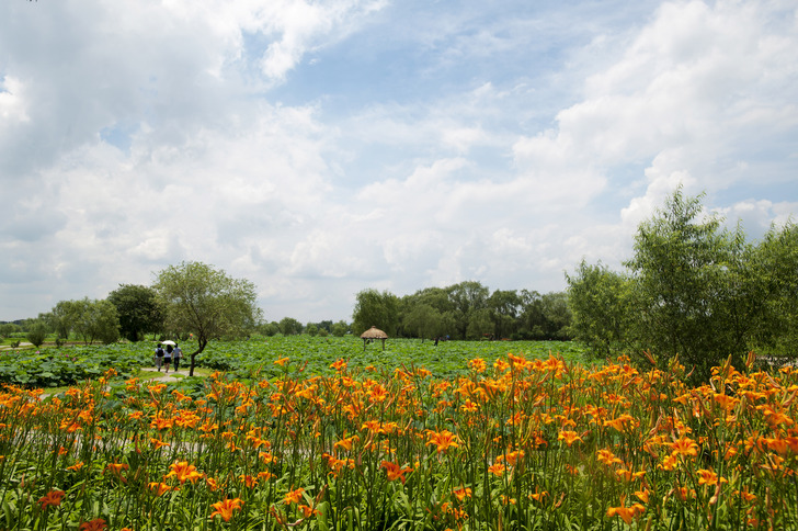 부여군 서동공원과 궁남지 이미지 7