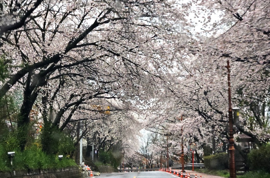 국립나주숲체원 이미지 5