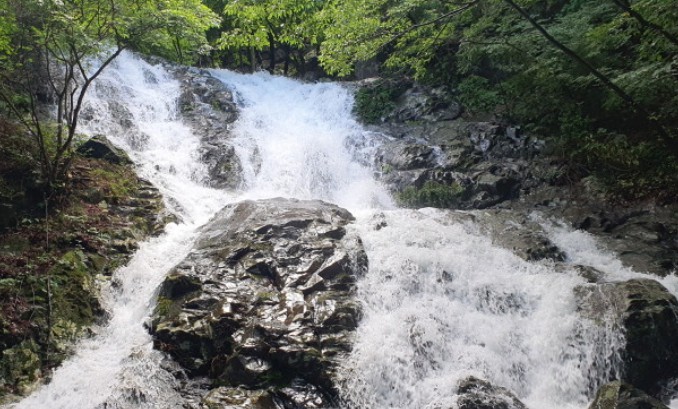 거제자연휴양림캠핑장 이미지 7