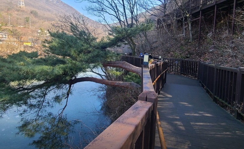 국립 칠곡숲체원 이미지 3