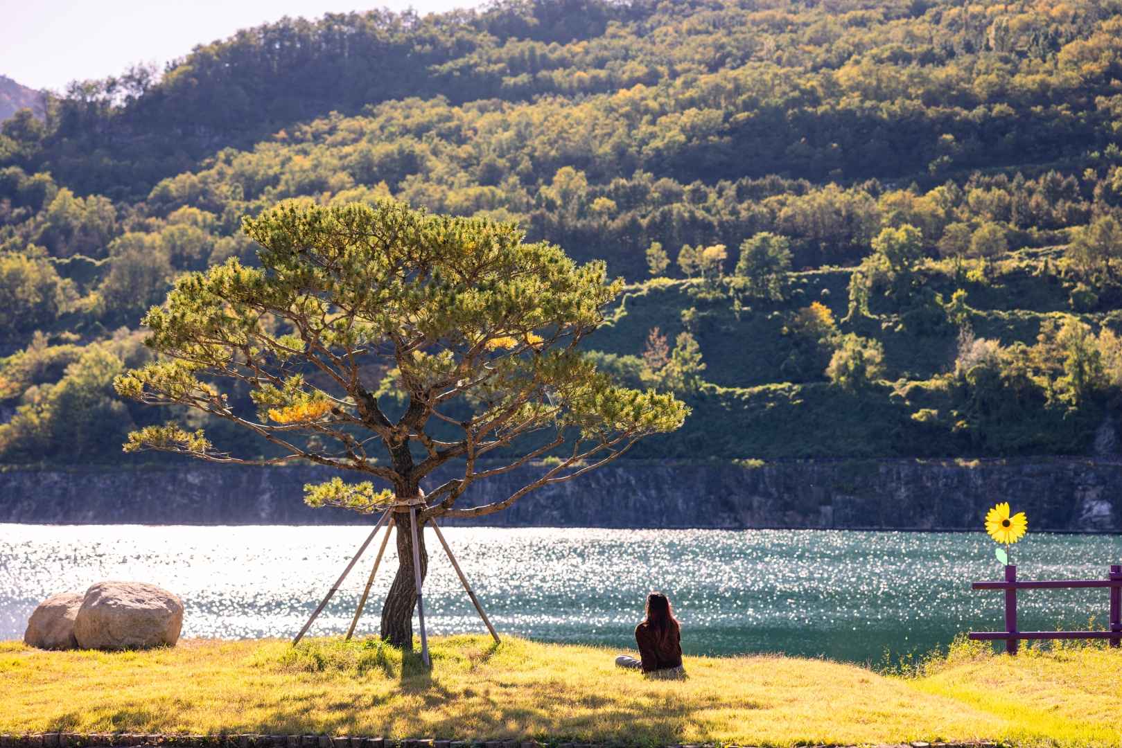동해 무릉별유천지 이미지 4