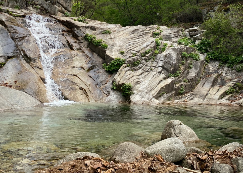 국립 춘천숲체원 이미지 6