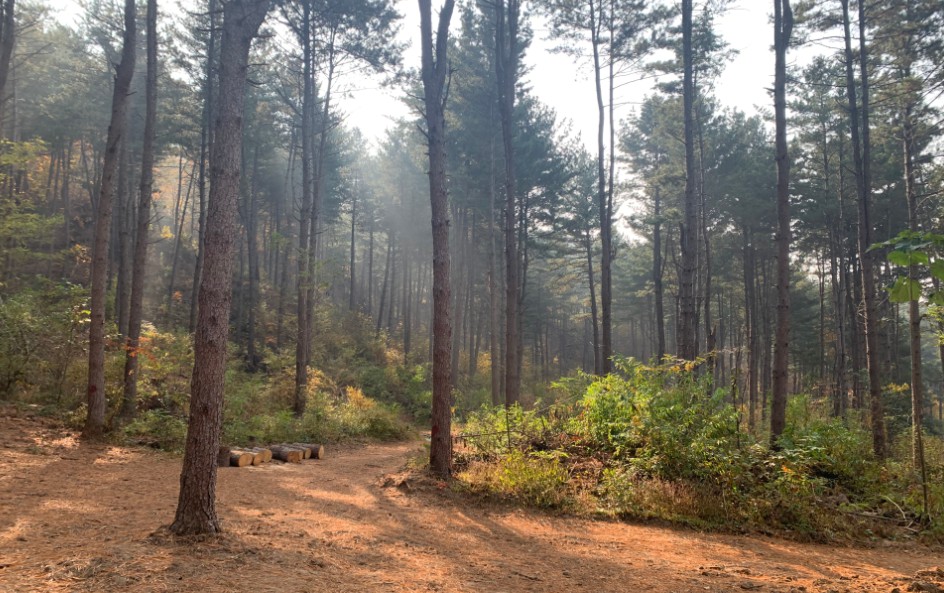 국립 춘천숲체원 이미지 7