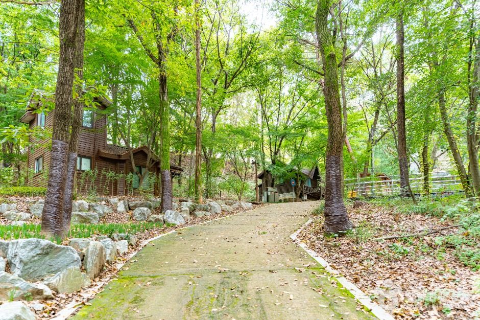 아산 영인산 산림박물관 이미지 8