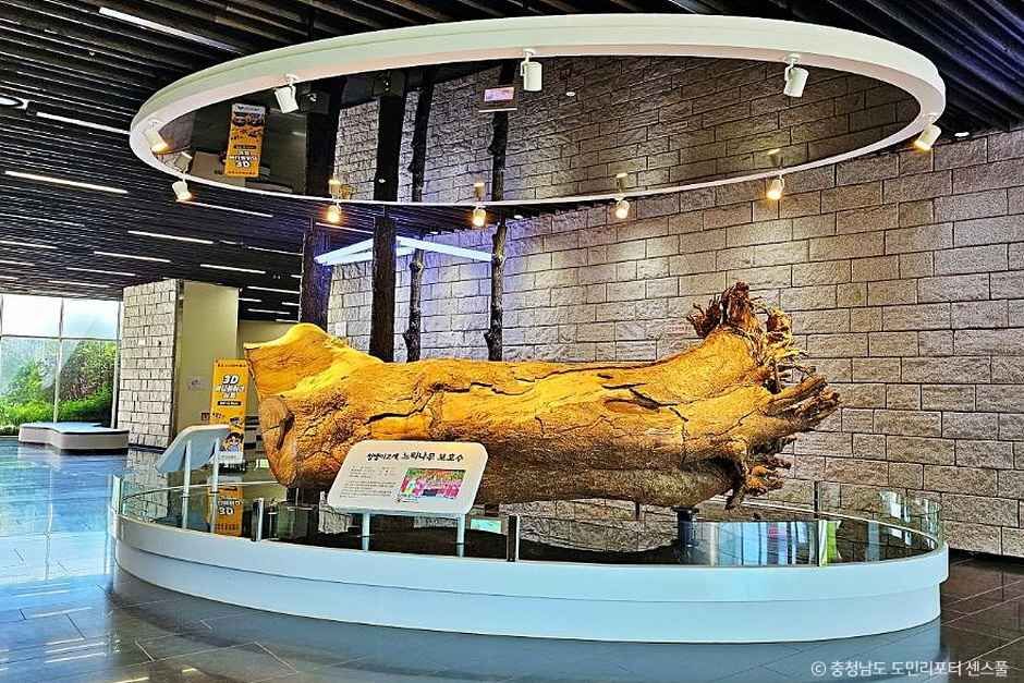 아산 영인산 산림박물관 이미지 3