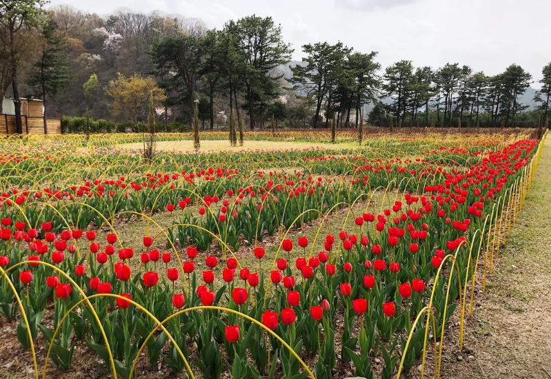 포천 서운동산 이미지 3