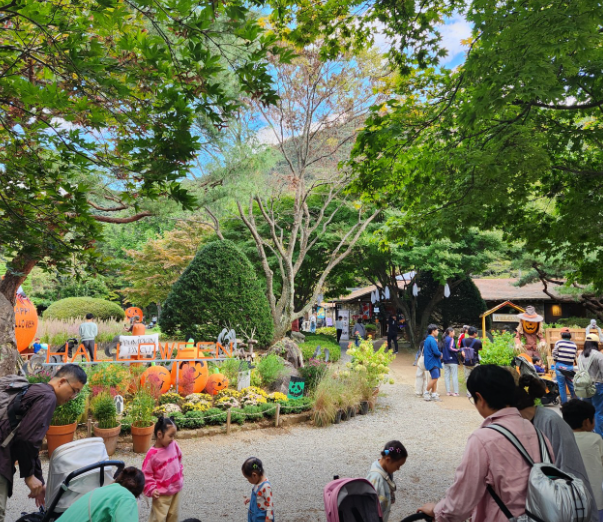 포천 서운동산 이미지 4