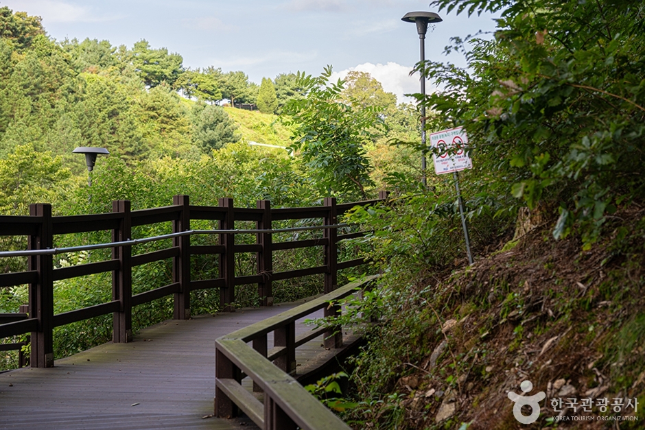 파주 헤이리무장애노을숲길 이미지 3