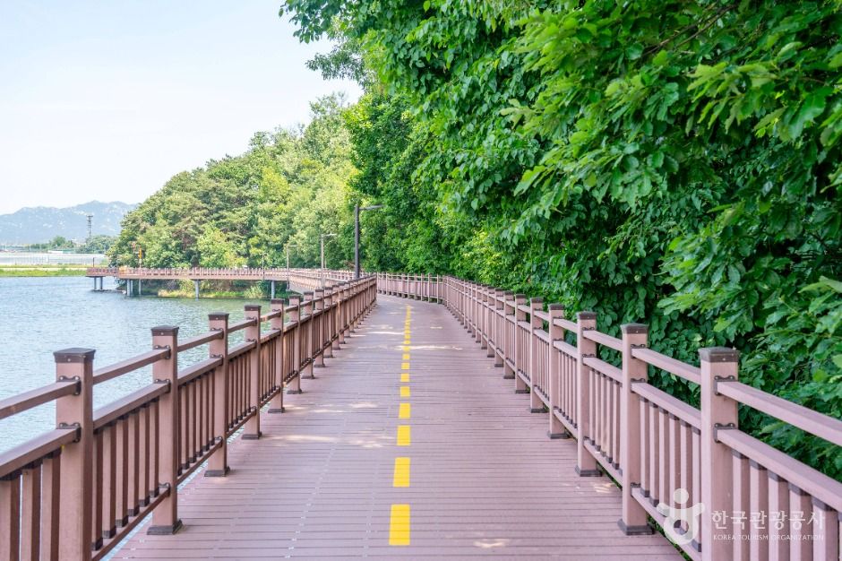 의왕 백운호수 생태탐방로 이미지 5
