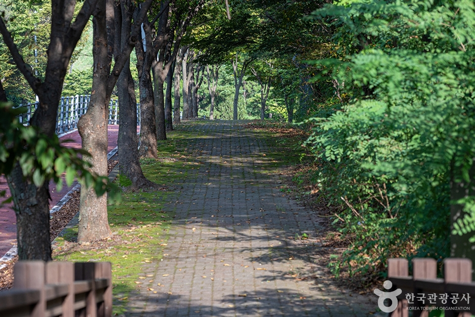 파주 헤이리무장애노을숲길 이미지 5