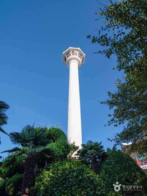 부산 용두산공원 이미지 2