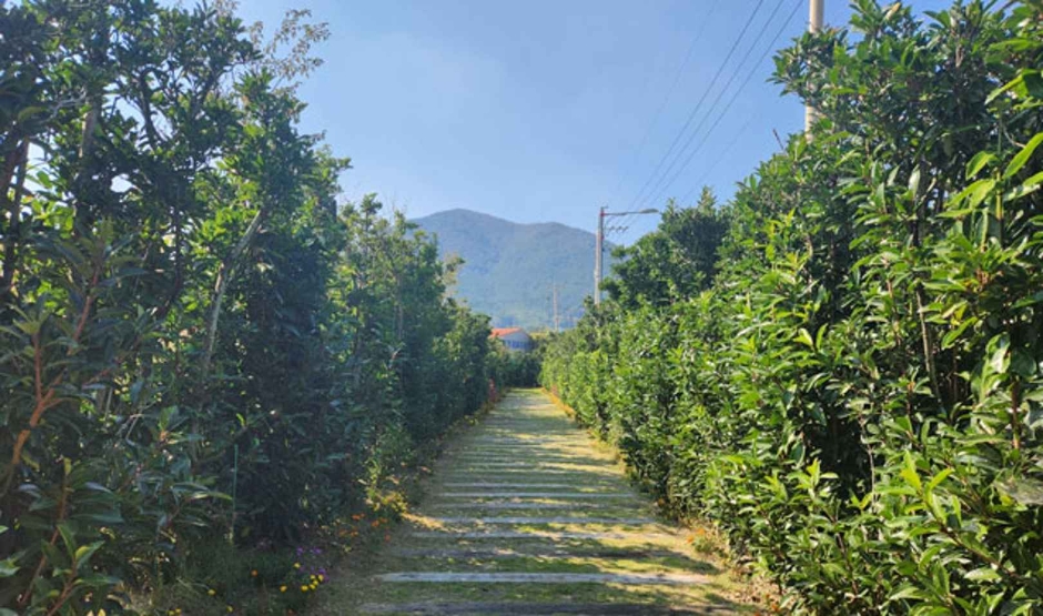 거제식물원 이미지 4