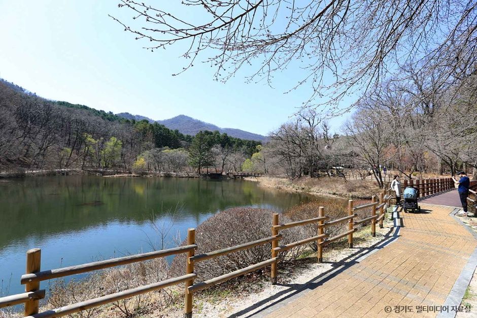 포천 국립수목원 광릉숲 이미지 2