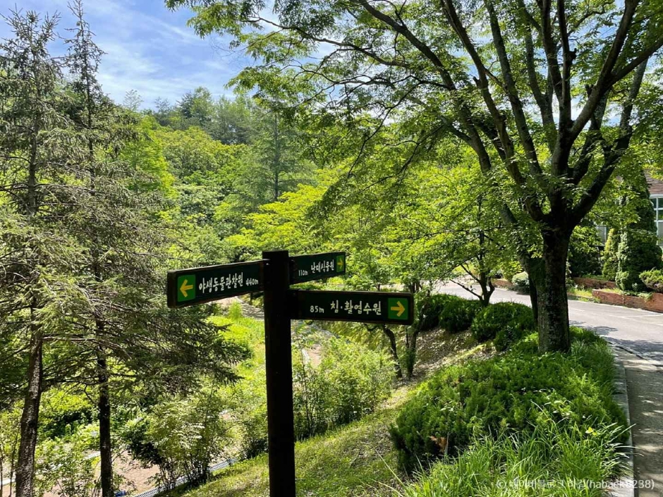 경상남도수목원 이미지 4