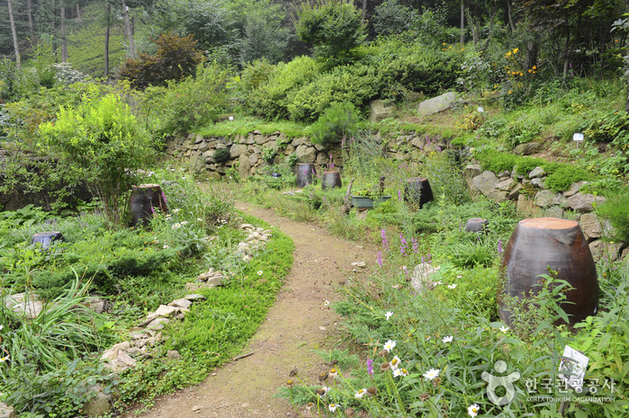 장흥자생수목원 이미지 4