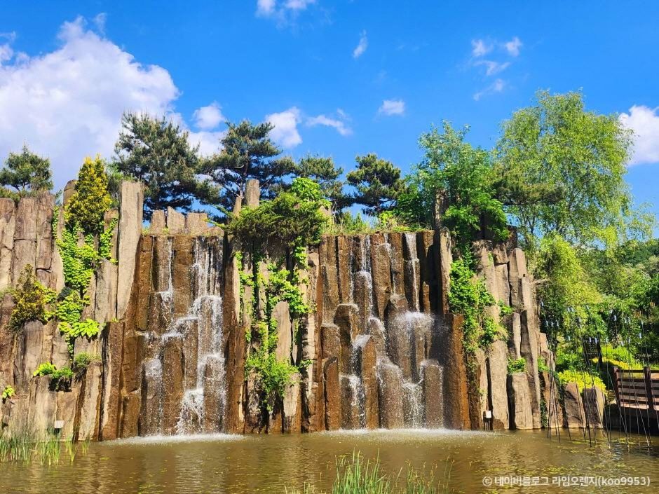 무릉도원수목원 이미지 2