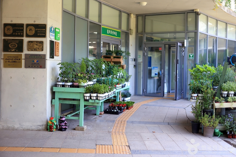 신구대학교식물원 이미지 4