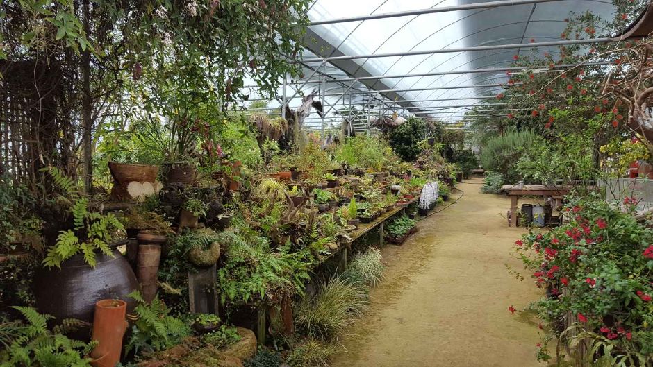 담양 다화림식물원 이미지 4