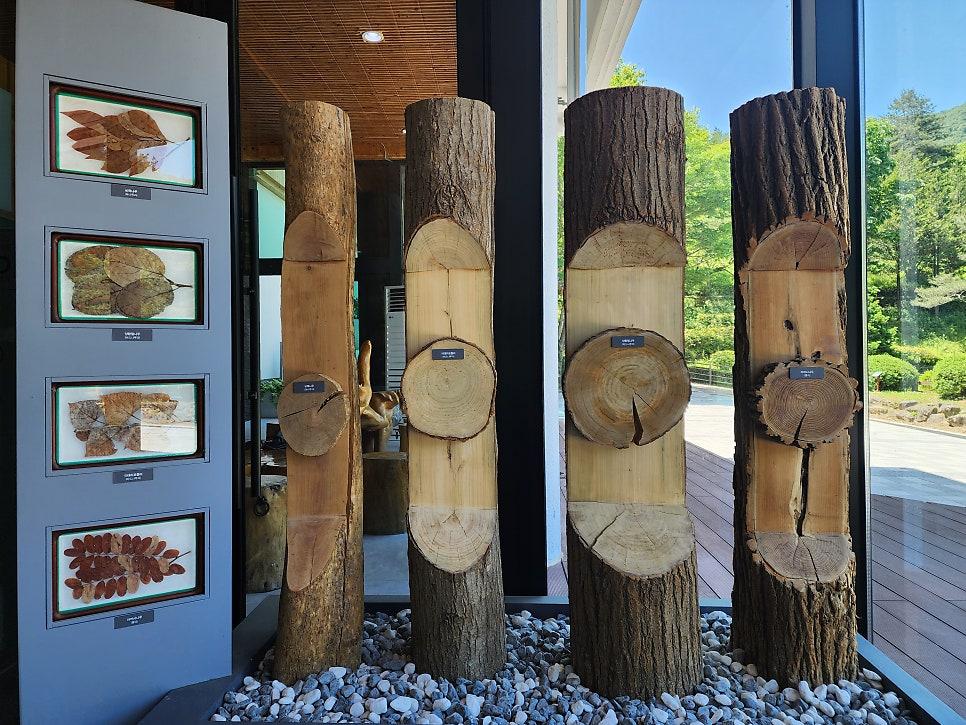 대아수목원 이미지 6