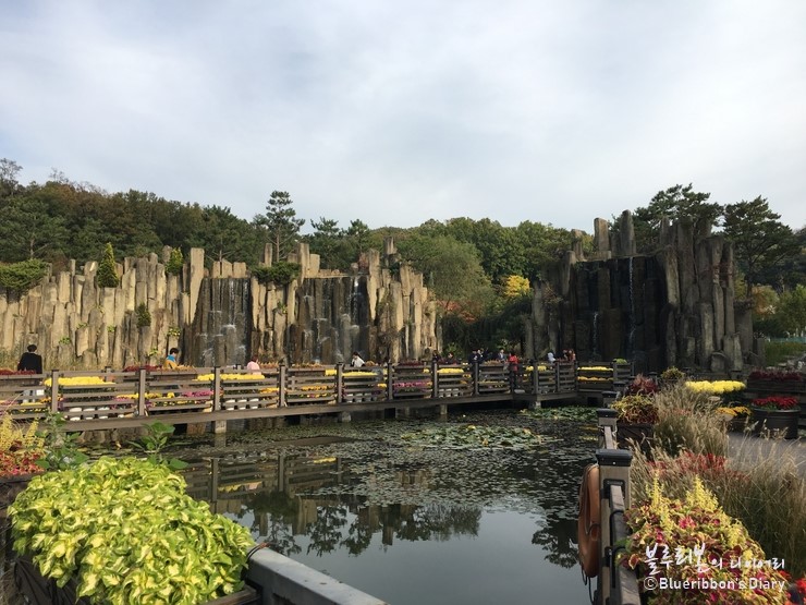 부천식물원 이미지 4