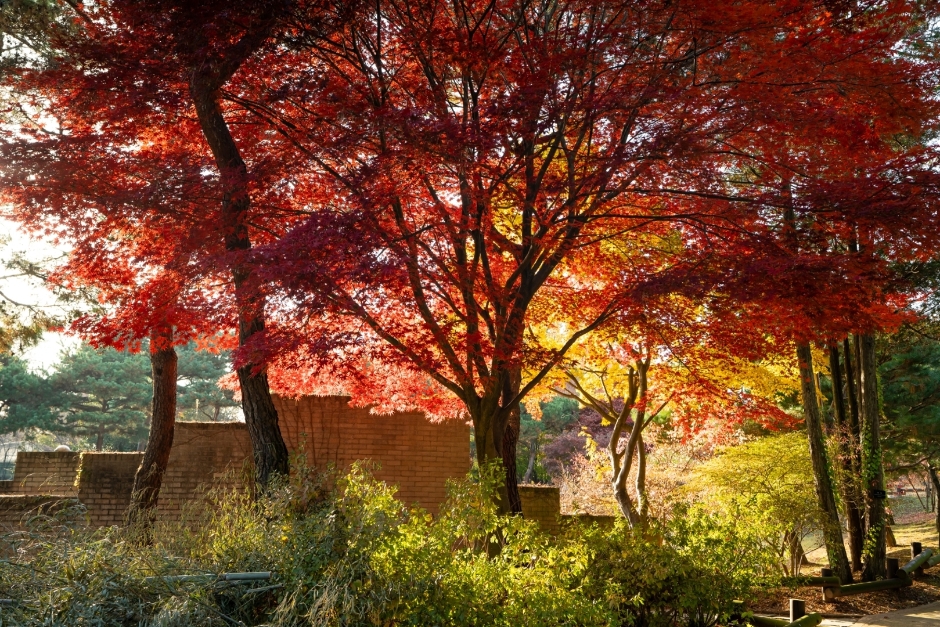 한국도로공사 전주수목원 이미지 2